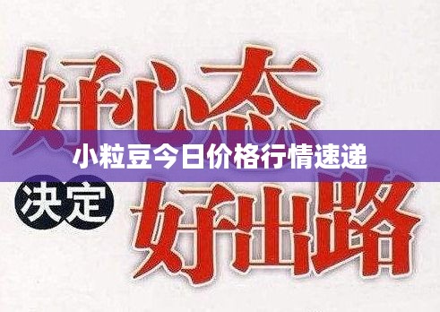 小粒豆今日價(jià)格行情速遞