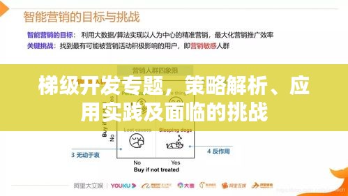 梯級開發(fā)專題，策略解析、應用實踐及面臨的挑戰(zhàn)