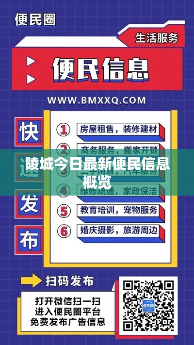 陵城今日最新便民信息概覽