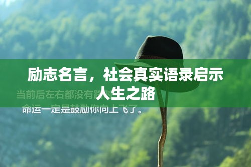 勵(lì)志名言，社會(huì)真實(shí)語(yǔ)錄啟示人生之路