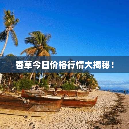 香草今日價(jià)格行情大揭秘！