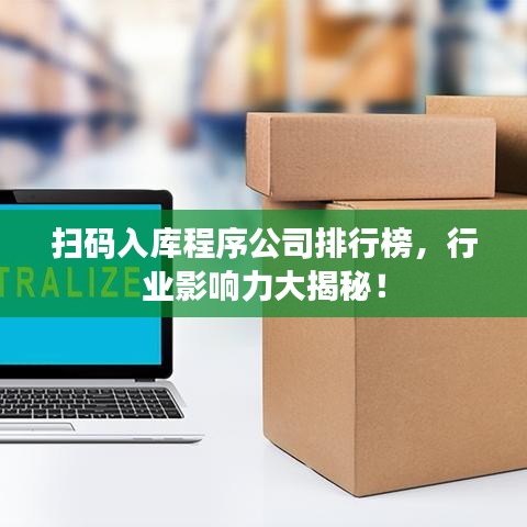 掃碼入庫程序公司排行榜，行業(yè)影響力大揭秘！