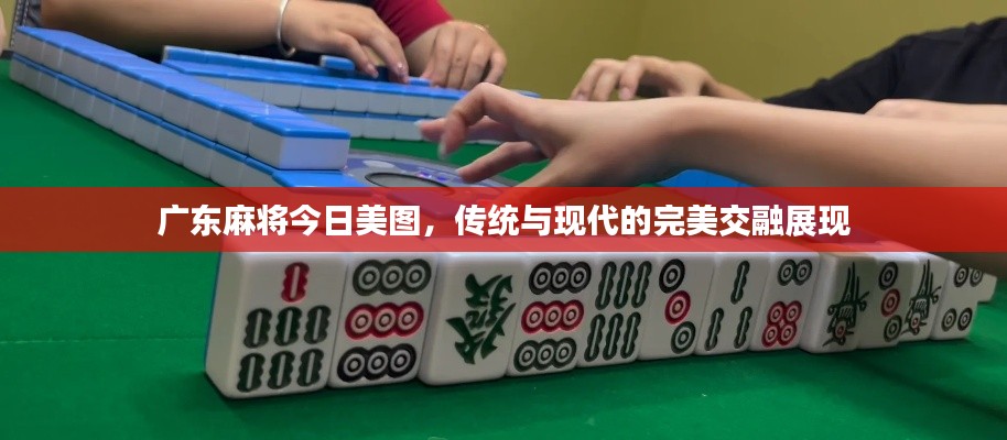 廣東麻將今日美圖，傳統(tǒng)與現(xiàn)代的完美交融展現(xiàn)