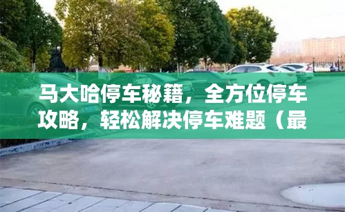 馬大哈停車秘籍，全方位停車攻略，輕松解決停車難題（最新資訊）