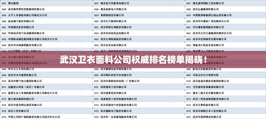 武漢衛(wèi)衣面料公司權威排名榜單揭曉！