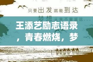 王添藝勵志語錄，青春燃燒，夢想逐風(fēng)破浪