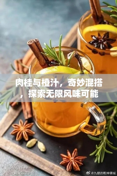 肉桂與橙汁，奇妙混搭，探索無限風味可能