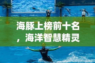 海豚上榜前十名，海洋智慧精靈的魅力展現(xiàn)