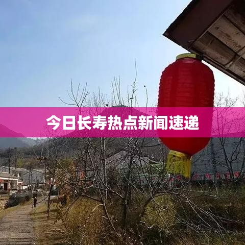 關(guān)于我們 第9頁