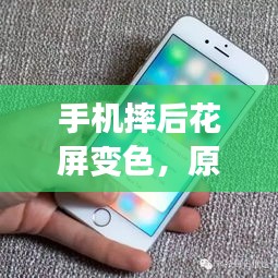 手機摔后花屏變色，原因解析、解決方法與預防措施