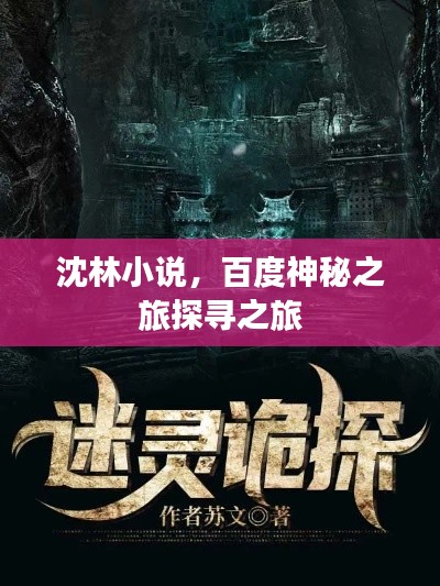 沈林小說(shuō)，百度神秘之旅探尋之旅