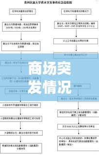 商場突發(fā)情況應對流程詳解，保障顧客安全，提升應急處理能力