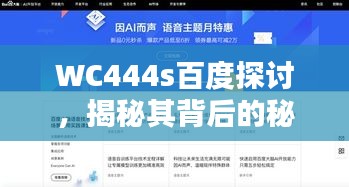 WC444s百度探討，揭秘其背后的秘密與魅力所在