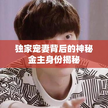 獨家寵妻背后的神秘金主身份揭秘