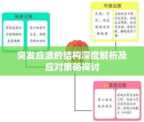 突發(fā)應激的結(jié)構(gòu)深度解析及應對策略探討