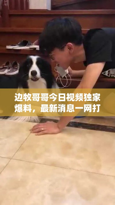 邊牧哥哥今日視頻獨家爆料，最新消息一網(wǎng)打盡！