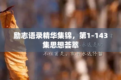 勵志語錄精華集錦，第1-143集思想薈萃