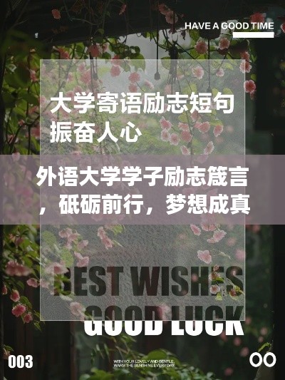 外語大學學子勵志箴言，砥礪前行，夢想成真