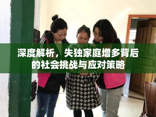 深度解析，失獨(dú)家庭增多背后的社會(huì)挑戰(zhàn)與應(yīng)對(duì)策略