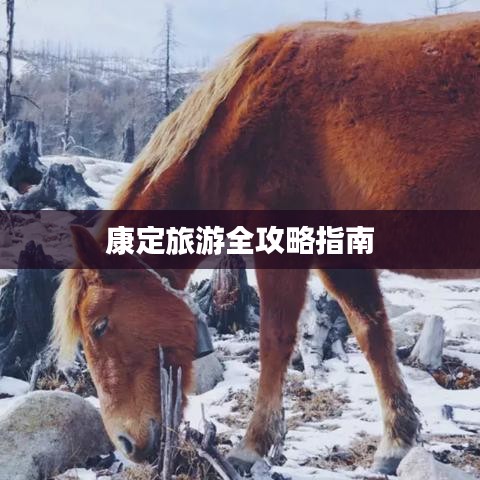 無影無蹤