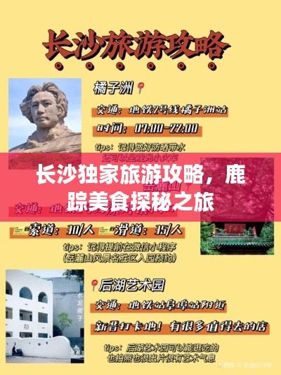長(zhǎng)沙獨(dú)家旅游攻略，鹿蹤美食探秘之旅