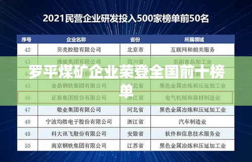 羅平煤礦企業(yè)榮登全國前十榜單