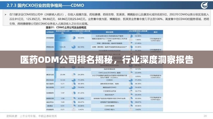 醫(yī)藥ODM公司排名揭秘，行業(yè)深度洞察報告