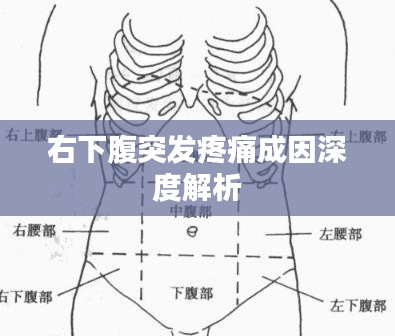 右下腹突發(fā)疼痛成因深度解析