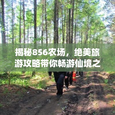 揭秘856農(nóng)場，絕美旅游攻略帶你暢游仙境之地！