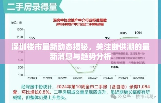深圳樓市最新動(dòng)態(tài)揭秘，關(guān)注斷供潮的最新消息與趨勢(shì)分析