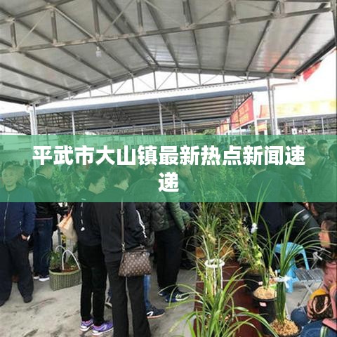 平武市大山鎮(zhèn)最新熱點新聞速遞