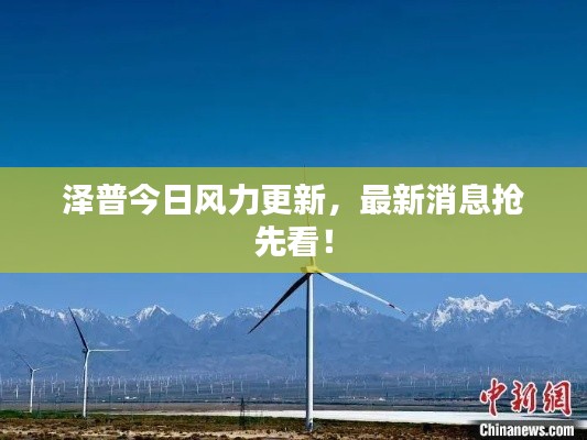 澤普今日風(fēng)力更新，最新消息搶先看！
