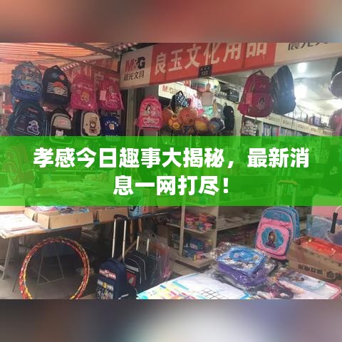 孝感今日趣事大揭秘，最新消息一網(wǎng)打盡！