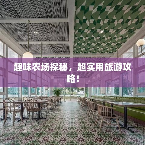 趣味農(nóng)場探秘，超實用旅游攻略！