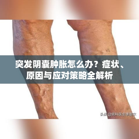 突發(fā)陰囊腫脹怎么辦？癥狀、原因與應(yīng)對策略全解析
