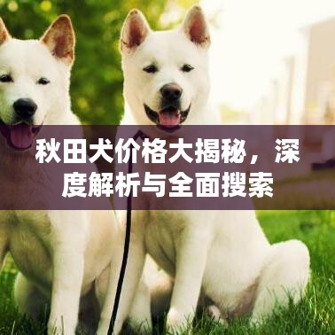 秋田犬價(jià)格大揭秘，深度解析與全面搜索