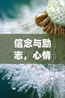 信念與勵(lì)志，心情語錄中的力量源泉與無限希望