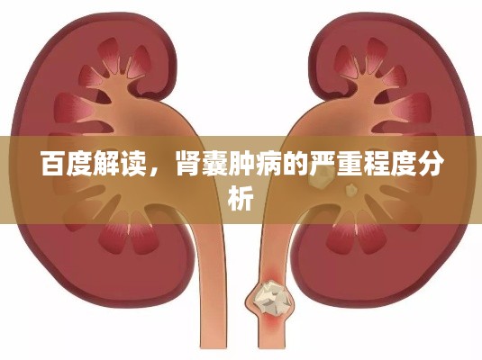 百度解讀，腎囊腫病的嚴重程度分析