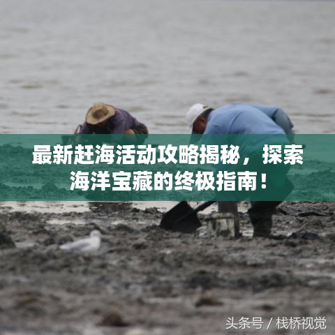 最新趕?；顒?dòng)攻略揭秘，探索海洋寶藏的終極指南！