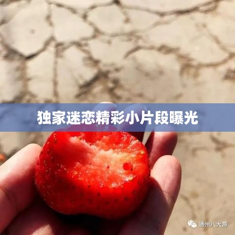 獨(dú)家迷戀精彩小片段曝光