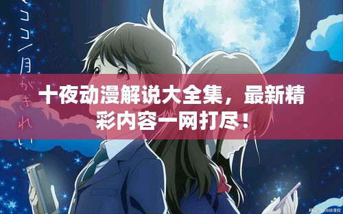 十夜動(dòng)漫解說大全集，最新精彩內(nèi)容一網(wǎng)打盡！