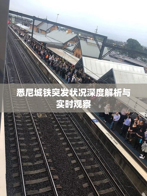 悉尼城鐵突發(fā)狀況深度解析與實時觀察