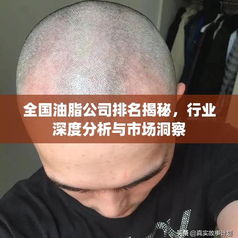 全國(guó)油脂公司排名揭秘，行業(yè)深度分析與市場(chǎng)洞察