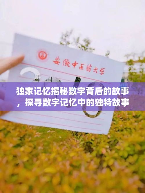 獨(dú)家記憶揭秘?cái)?shù)字背后的故事，探尋數(shù)字記憶中的獨(dú)特故事