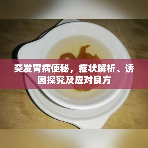 突發(fā)胃病便秘，癥狀解析、誘因探究及應(yīng)對(duì)良方