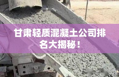 甘肅輕質(zhì)混凝土公司排名大揭秘！