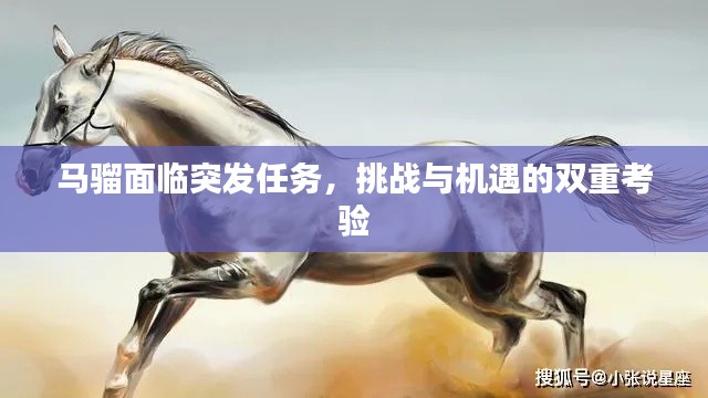 馬騮面臨突發(fā)任務，挑戰(zhàn)與機遇的雙重考驗