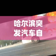 哈爾濱突發(fā)汽車自燃事件，驚險(xiǎn)瞬間，現(xiàn)場曝光！