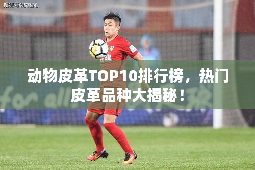 動(dòng)物皮革TOP10排行榜，熱門皮革品種大揭秘！