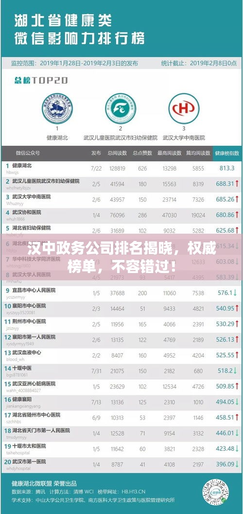 漢中政務(wù)公司排名揭曉，權(quán)威榜單，不容錯(cuò)過(guò)！